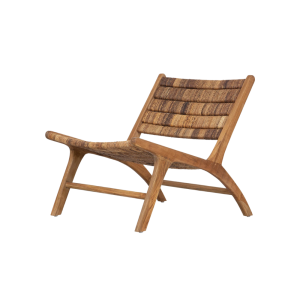 SILLA D-BODHI CATERPILLAR BEETLE