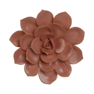 FLOR DE LA PARED ROSA