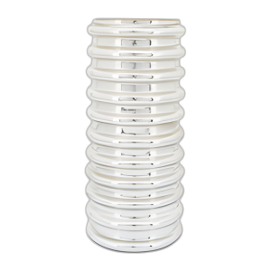 GLASS, 14´´ H, JARRÓN DE VIEIRAS, CHAMPÁN