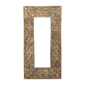 47X94, GOLD SCALES MIRROR