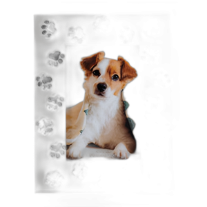 RESINA, MARCO DE FOTOS DE ESTAMPADOS DE PATA 4X6, NEGRO/BLANCO