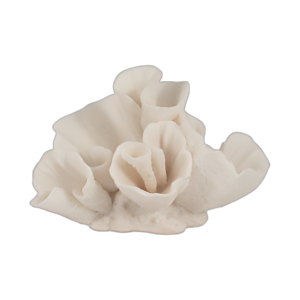 OBJETO DE CORAL DE 8´´ , MARFIL