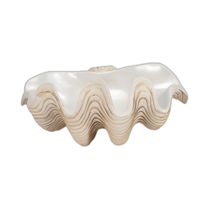 TAZÓN DE ALMEJAS PERLADAS DE 16´´ , MARFIL
