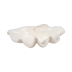 TAZÓN DE ALMEJAS PERLADAS DE 25´´ , MARFIL