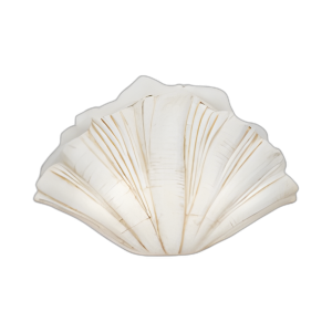 22´´ DECORACIÓN DE CONCHA DE VIEIRA, BLANCO