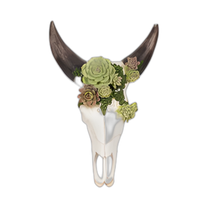 CALAVERA DE TORO DE 18´´ CON SUCULENTAS, MULTI