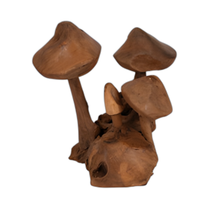 GRÚTOR DE HONGO DE MADERA DE TECA DE 12´´ , NATURAL