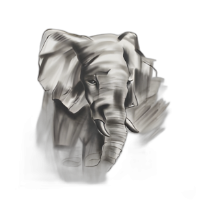 71X71, BELLEZA ELEFANTE PINTADA A MANO, GRIS/WHT