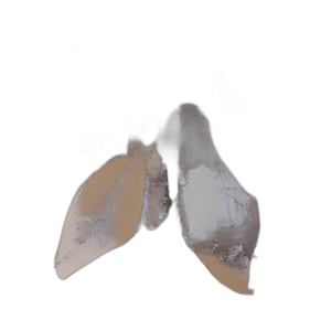 HOJAS DE OTOÑO PINTADAS A MANO DE 40X40´´ , MARRÓN