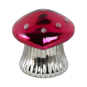 6´´ 12 OZ DE HIGUERA Y VELA DE HONGO DE ALBARICOQUE, ROSA