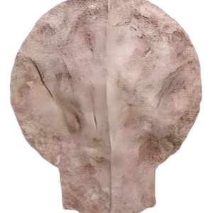 JARRÓN DENIZ GRANDE